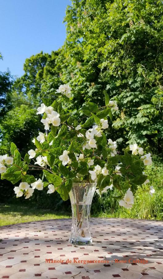 Rose Cottage Pontrieux Buitenkant foto